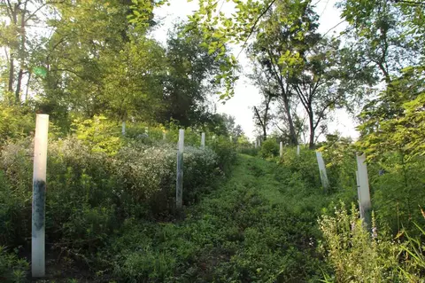 52 Solon Rd, Solon, IA 52333 photo 7