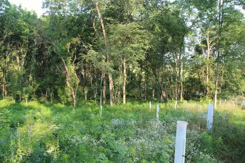 52 Solon Rd, Solon, IA 52333 photo 6