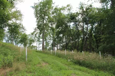 52 Solon Rd, Solon, IA 52333 photo 21