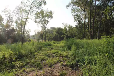 66 Solon Rd, Solon, IA 52333 photo 14