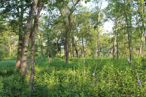 66 Solon Rd, Solon, IA 52333 photo 7