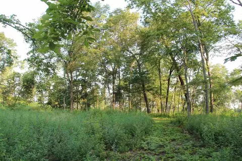 66 Solon Rd, Solon, IA 52333 photo 8