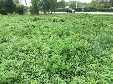 5791 Michael Dr NE, Cedar Rapids, IA 52411 photo 39