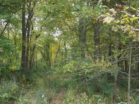Rr G Avenue, Northenglish, IA 52316