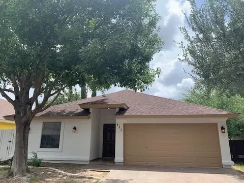 421 Cinnamon Teal Lp, Laredo, TX 78045 photo 1