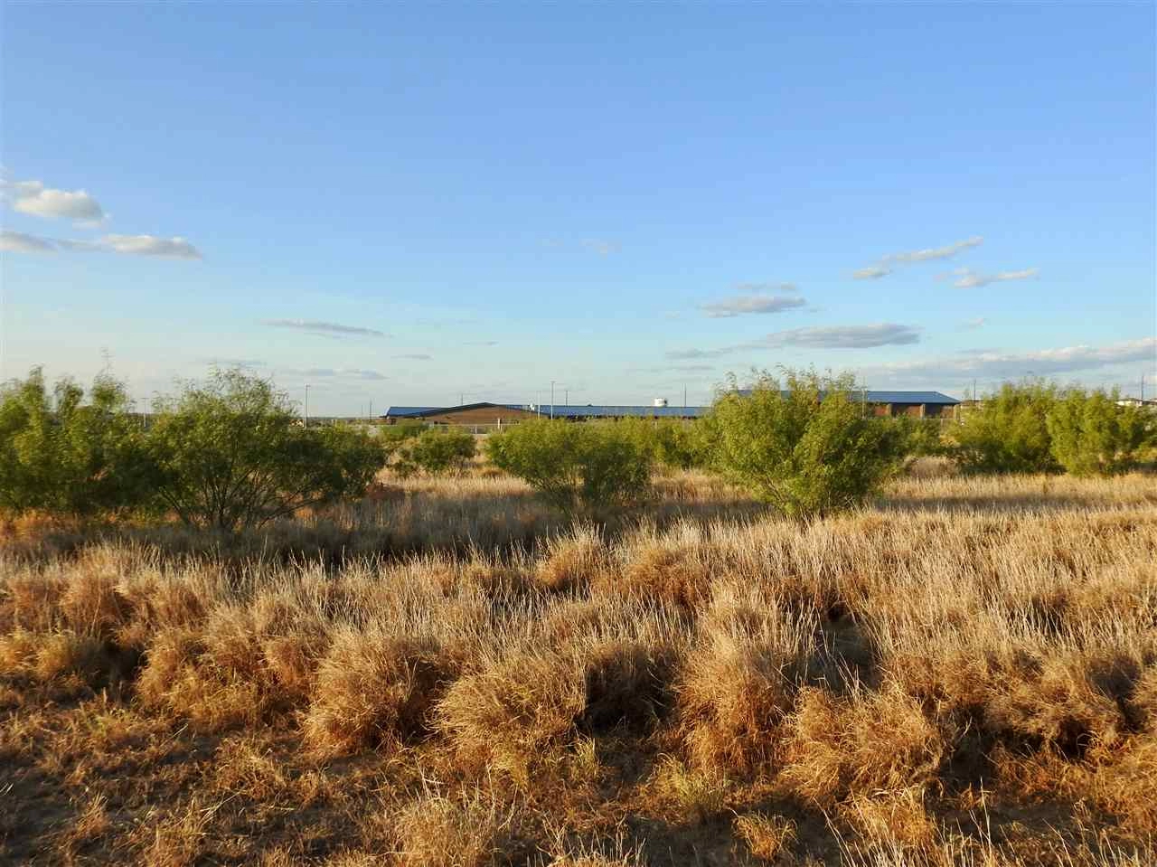 3614 Lomas Del Sur Blvd  