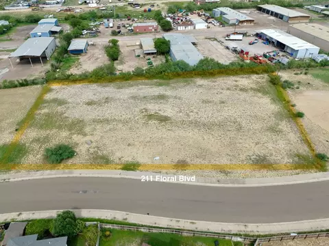 211 Floral Blvd, Laredo, TX 78043 photo 1