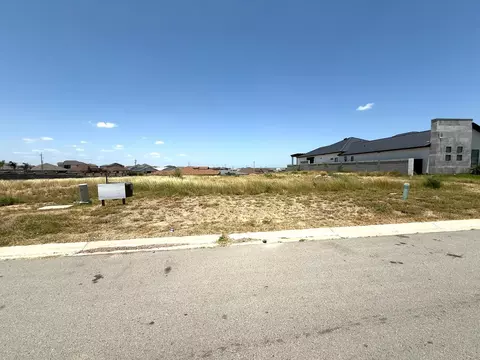 70 Finca Loop, Laredo, TX 78045 photo 9