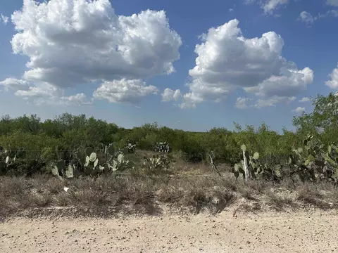 Las Pilas Tr 86 Las Pilas I, Laredo, TX 78045