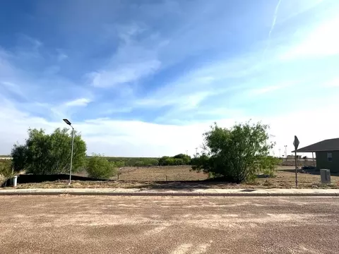 8233 Mejia Rd, Laredo, TX 78043