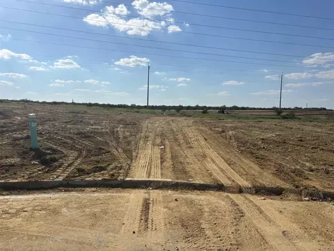 6902 Molinos Dr, Lardo, TX 78046
