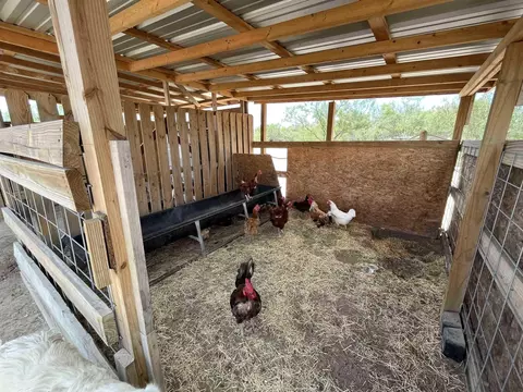 439 Ranch Road 7016c, Laredo, TX 78043 photo 18