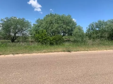 398 Well Ln, Los Botines, TX 78045