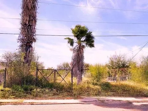 424 Morales, El Cenizo, TX 78046
