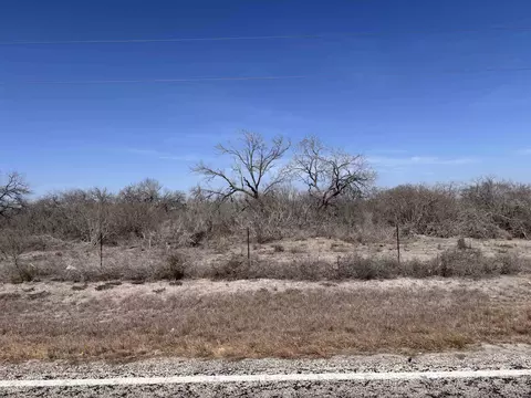 Abst 318 Wj Pearce, Three Rivers, TX 78071