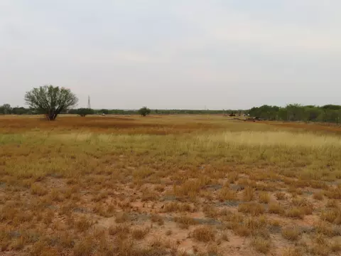 1035 Pena Rd, Cotulla, TX 78014 photo 8