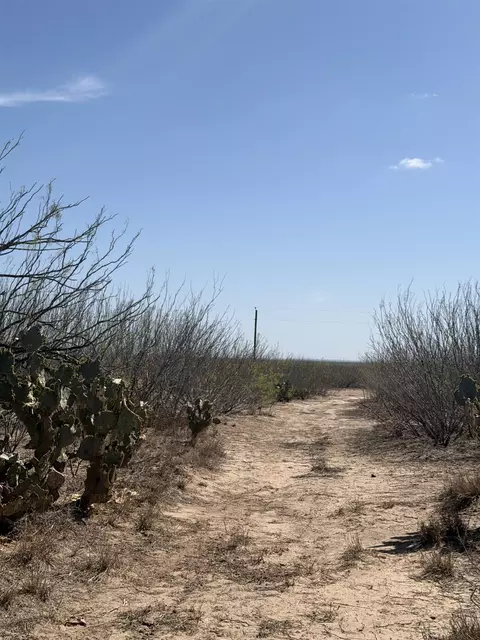000 Ranch Rd, Laredo, TX 78040 photo 10