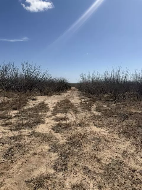 000 Ranch Rd, Laredo, TX 78040 photo 11
