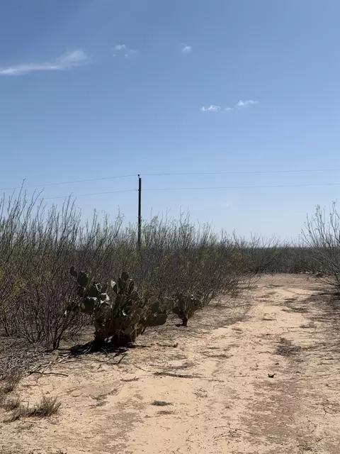 000 Ranch Rd, Laredo, TX 78040 photo 9