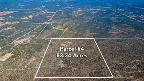 Parcel 4 Abst 209 J V Borrego, Zapata, TX 00000
