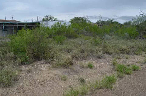 5115 Grande Ln, Zapata, TX 78076