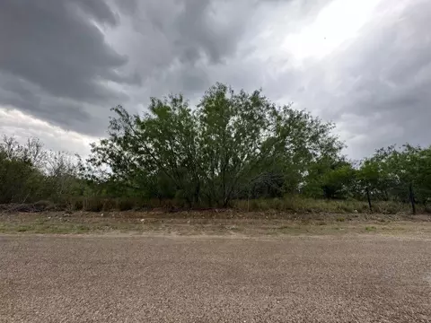 5417 Pety Ln, Zapata, TX 78076
