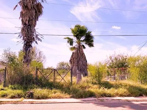 424 Morales, El Cenizo, TX 78046