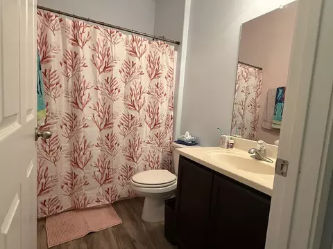 Bath - 4423 Gloria Dr, Laredo, TX 78046 photo 2 of 2