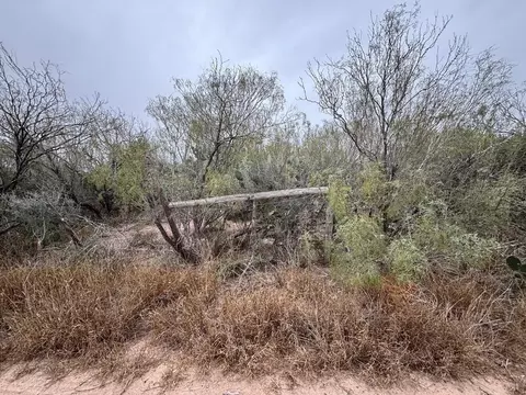 lot59 Los Fresnos, Laredo, TX 78046