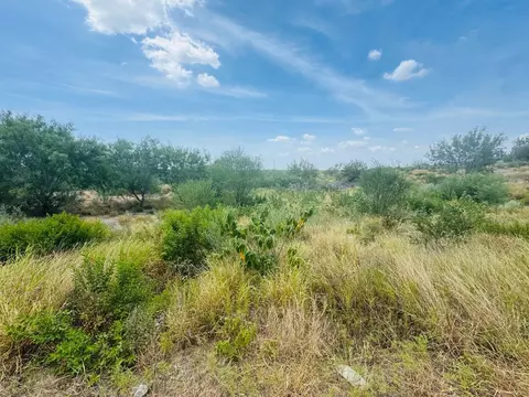 122 N Chele Rd, Falcon Heights, TX 78545