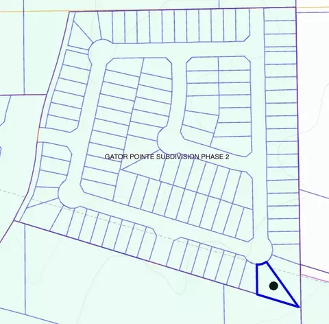 6015 Heather Loop, Laredo, TX 78046 photo 16