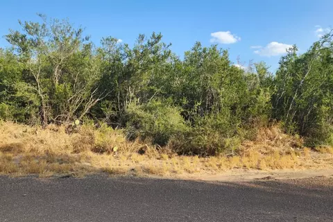 5303 Juan Ln, Zapata, TX 78076