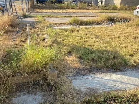 503 Lobo Lp, Laredo, TX 78045 photo 5