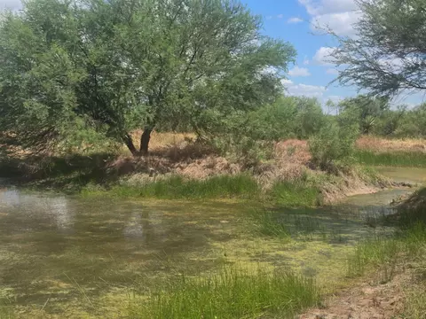 View/Area - 00 Ranch Rd, Webb County, TX 78044 photo 3 of 3