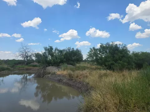 View/Area - 00 Ranch Rd, Webb County, TX 78044 photo 2 of 3