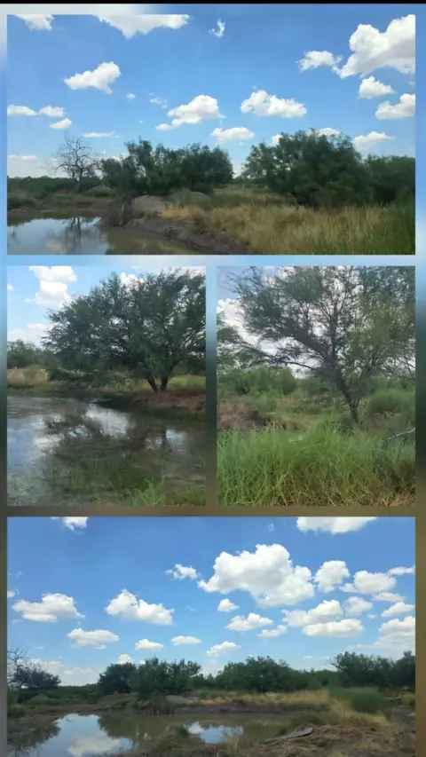 Other - 00 Ranch Rd, Webb County, TX 78044 photo 6 of 6
