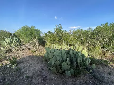 006 Ranch Rd, Encinal, TX 78019 photo 8