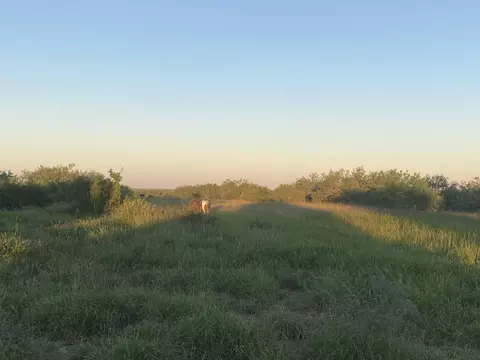 007 Ranch Rd, Encinal, TX 78019 photo 7