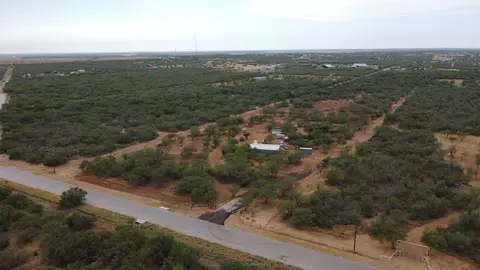 Jefferies Rd., Laredo, TX 78045 photo 3