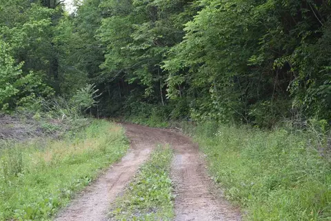 3472 Glendale Rd, Bybee, TN 37713 photo 5