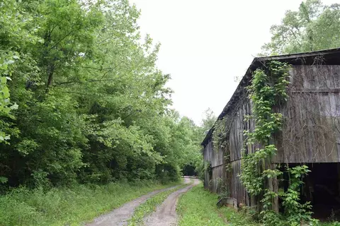 3472 Glendale Rd, Bybee, TN 37713 photo 8