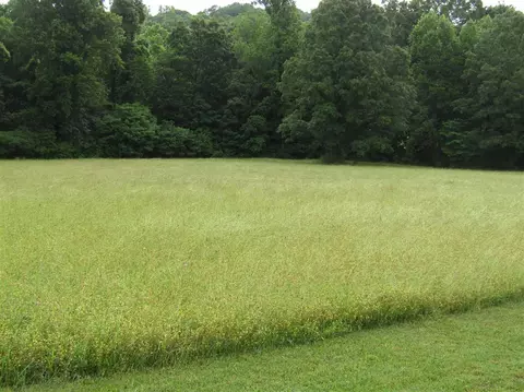 271 Grand Valley Rd, Talbott, TN 37877 photo 6