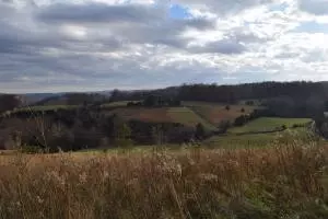 1120 Frog Level Rd, Harrogate, TN 37752 photo 6