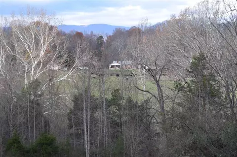 1120 Frog Level Rd, Harrogate, TN 37752 photo 10
