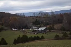 1120 Frog Level Rd, Harrogate, TN 37752 photo 4