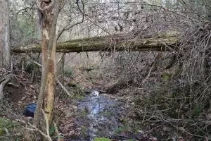 1120 Frog Level Rd, Harrogate, TN 37752 photo 7