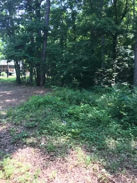 2236 Boat Dock Rd, Talbott, TN 37877 photo 6