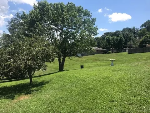 2643 Lowe Dr, Talbott, TN 37877 photo 16