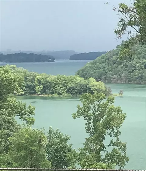 1736 Wilderness Dr, Talbott, TN 37877 photo 17