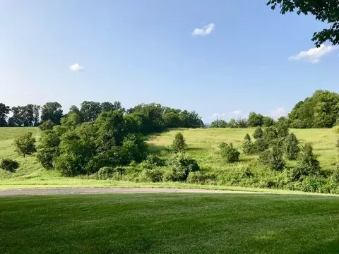 1122 Pratt Rd, Talbott, TN 37877 photo 12